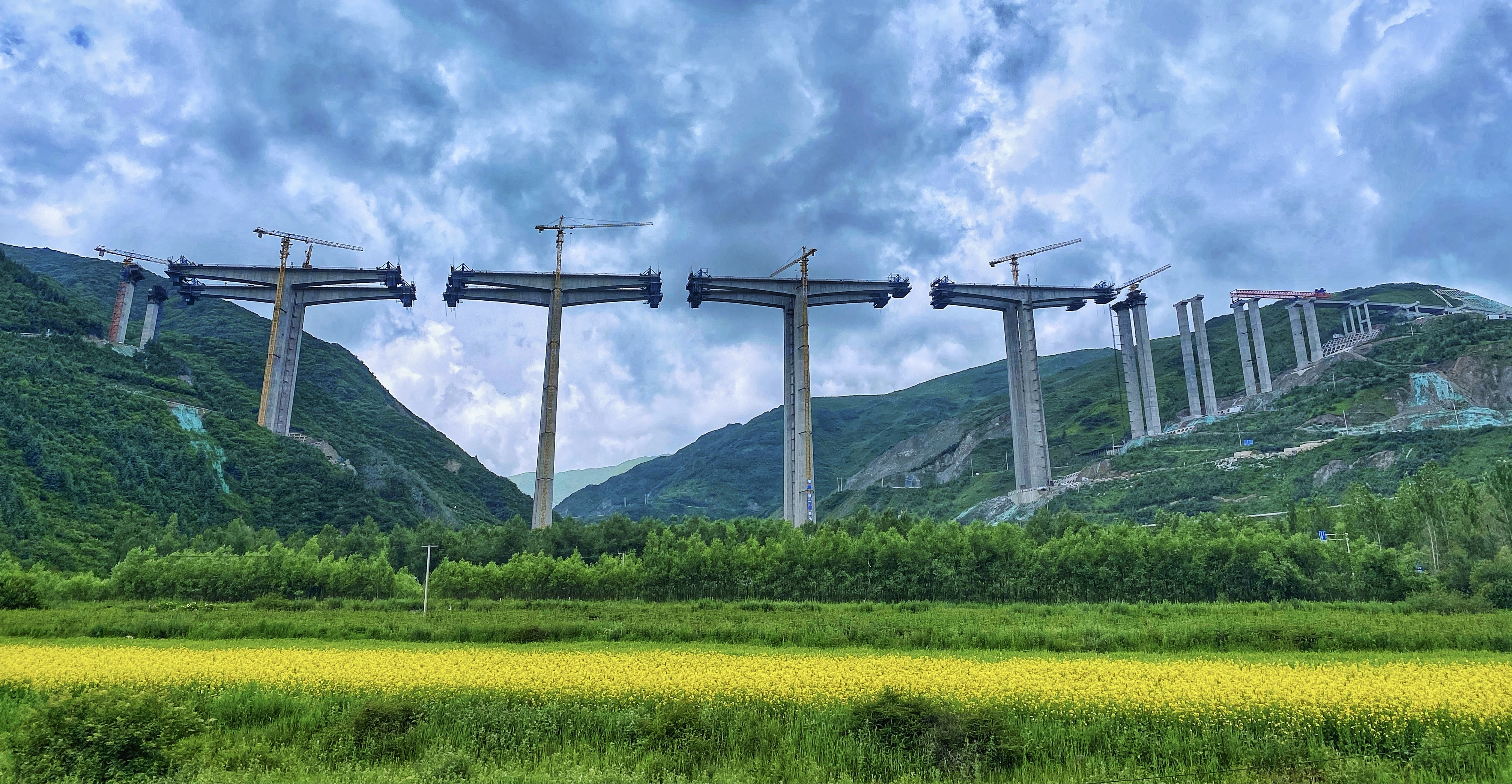 圖片2.png 圖片2.png